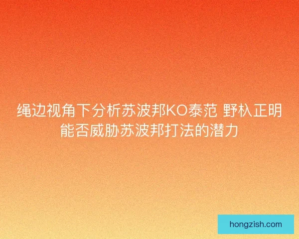 绳边视角下分析苏波邦KO泰范 野杁正明能否威胁苏波邦打法的潜力